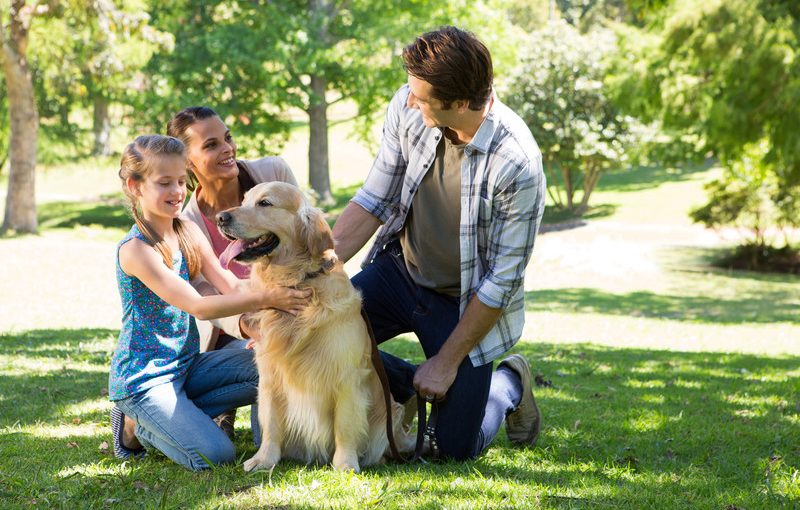 Improve Your Dog’s Social Life