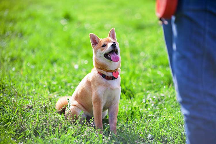 Impulse Control Exercises